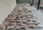 PM apreende mais de 500 peixes durante abordagem na MT-020 em Campinápolis