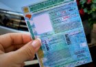 Contran prorroga até 9 de dezembro a validade de CNHs vencidas desde 5 de junho