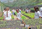 Estudantes de Campinápolis visitam universidade e aprendem sobre ciência e preservação do Cerrado