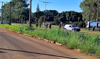 Cabeça humana é encontrada em canteiro de rotatória na MT-100