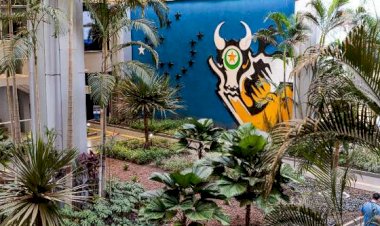 Confira o que abre e o que fecha nos órgãos públicos estaduais; expediente retorna na quarta (14)