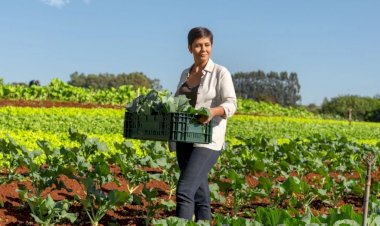 Sicredi reforça financiamento de projetos sustentáveis e amplia carteira de crédito para economia verde