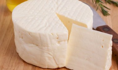 Laticínios de Mato Grosso produzem mais de 30 tipos de queijos e movimentam a economia estadual