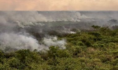 Governo Lula decreta emergência ambiental em Mato Grosso