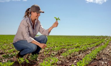 Sicredi reconhece protagonismo feminino e está presente no maior encontro de mulheres do Agronegócio