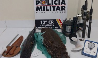 Polícia Militar apreende animais silvestres abatidos e pescado irregular em Campinápolis