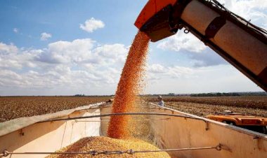 Mato Grosso fecha 2025 como o 4º maior exportador brasileiro