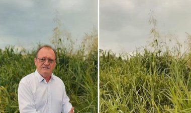 Combate à dengue: prefeito cobra apoio da população na limpeza de terrenos em Querência