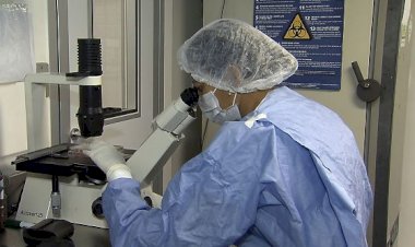 Como cientistas 