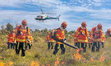 Incêndio atinge mais de 13 mil hectares em Barra do Garças
