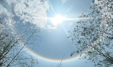 Halo Solar: entenda fenômeno que chamou atenção de moradores de Barra do Garças
