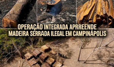 PM e Ibama apreendem grande quantidade de madeira serrada armazenada clandestinamente em Campinápolis