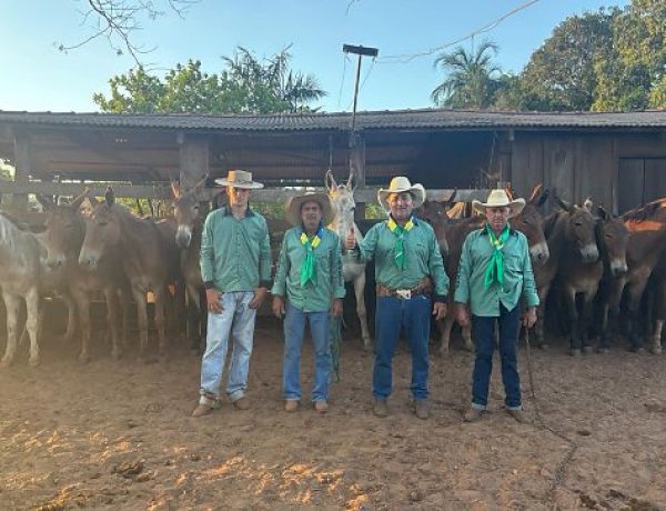 Comitiva de Bom Jesus do Araguaia percorre quase 800 km rumo à Romaria de Trindade