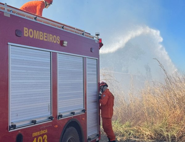 Bombeiros controlam incêndio em vegetação às margens da Rota do Leite, em Água Boa