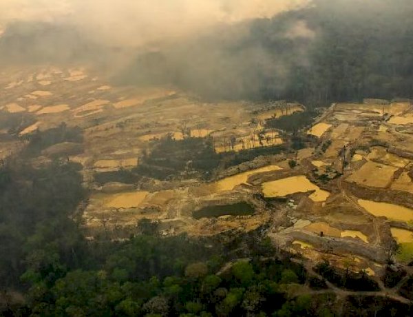 Força-tarefa reduz em 97% novos alertas de desmatamento na Terra Indígena Sararé