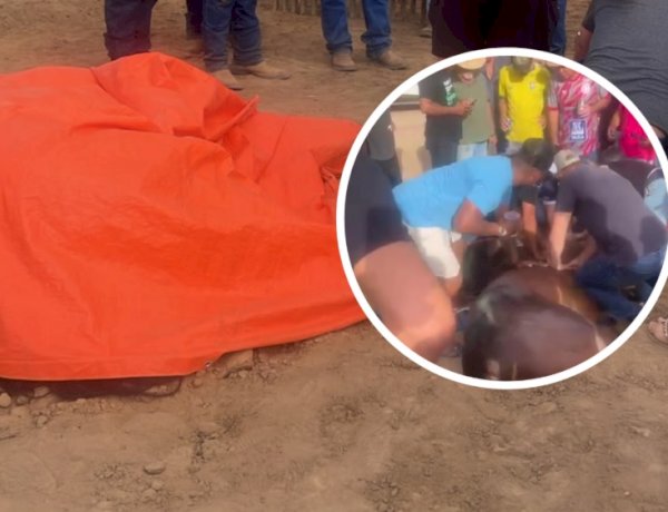 Cavalo cai após cruzar a linha de chegada, morre e deixa cavaleiro ferido durante evento em Canarana