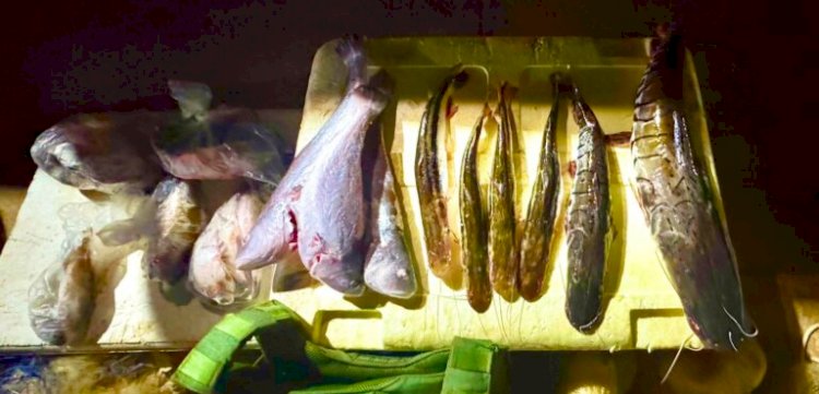 Operação apreende material predatório, pescado e arma de fogo no Rio das Mortes