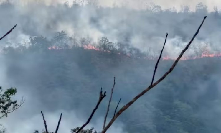 Incêndio de grandes proporções avança próximo a Terra Indígena em Barra do Garças após município decretar estado de emergência