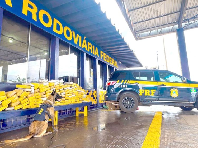 Cão farejador da PRF encontra mais de 160 kg de drogas durante fiscalização em MT