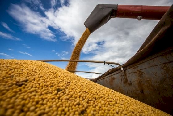 Polícia indicia dois do Agro por desviar carga de R$ 9 milhões em soja de armazém em Água Boa e Ribeirão Cascalheira