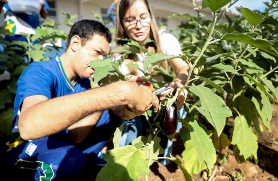 Governo de MT lança edital para hortas escolares em 300 unidades da rede estadual
