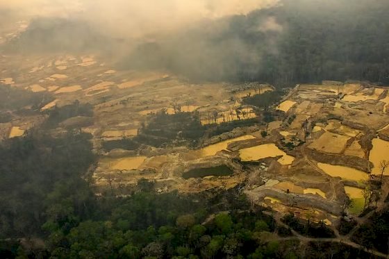 Força-tarefa reduz em 97% novos alertas de desmatamento na Terra Indígena Sararé