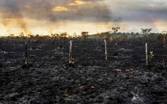 Incêndios podem comprometer produtividade do solo por até 10 anos em Mato Grosso