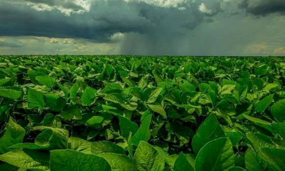 El Niño acende alerta para plantio da safra 2026/27 em Mato Grosso