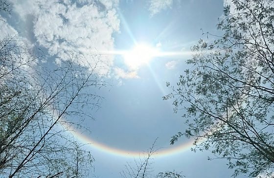Halo Solar: entenda fenômeno que chamou atenção de moradores de Barra do Garças