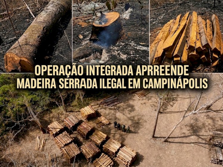 PM e Ibama apreendem grande quantidade de madeira serrada armazenada clandestinamente em Campinápolis