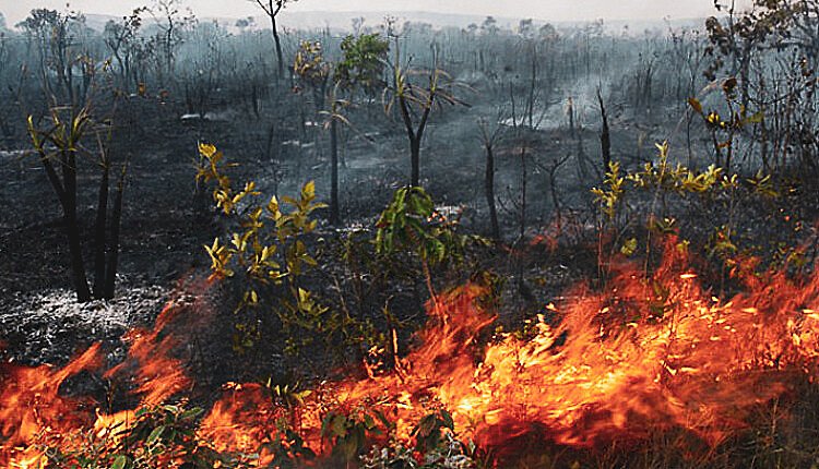 Incêndios florestais em terras indígenas em MT; No Araguaia não é diferente